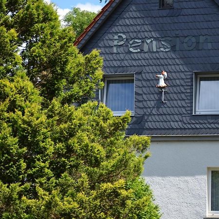 פרידריכרודה Pension Landhaus Machold מראה חיצוני תמונה