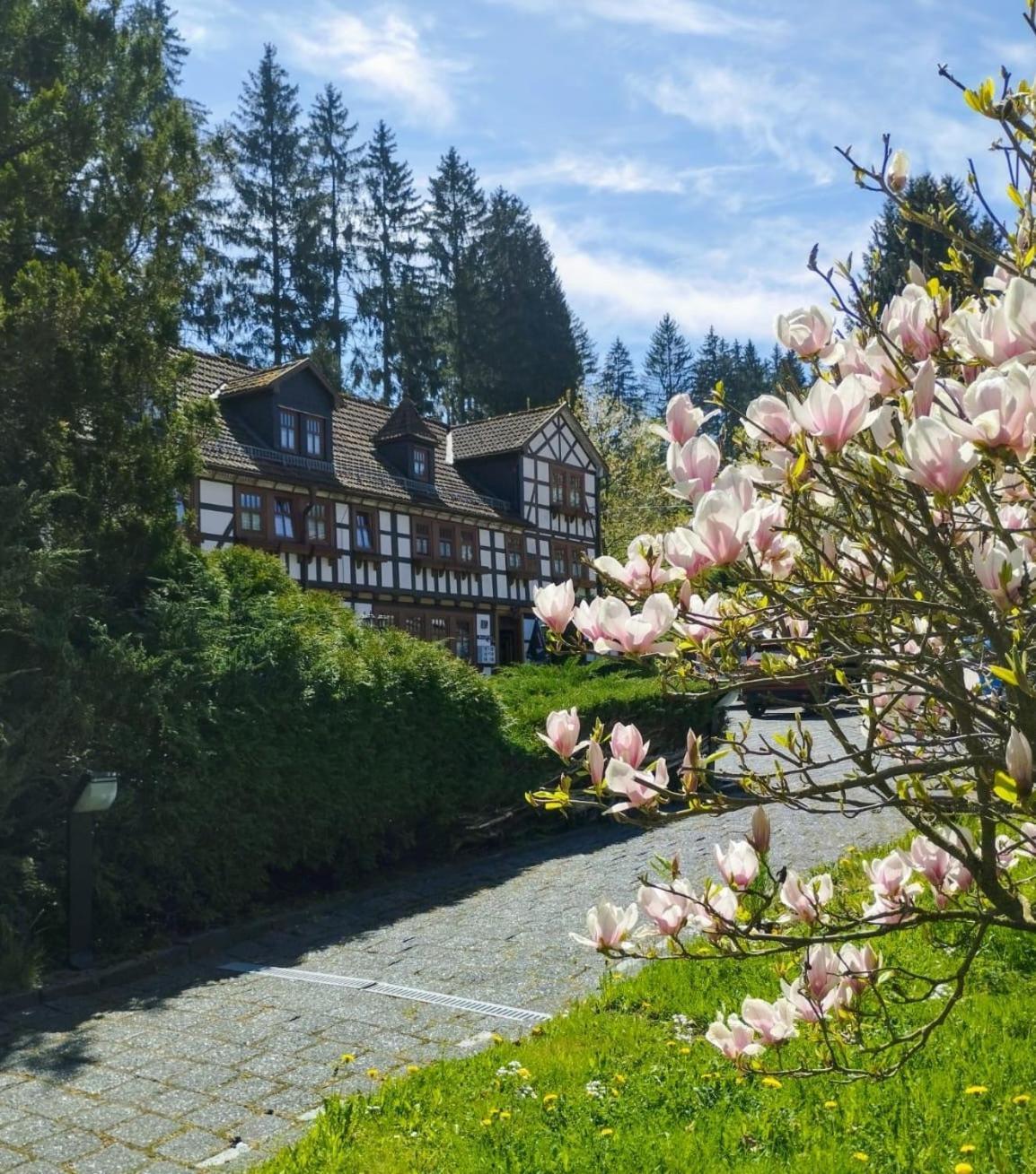 פרידריכרודה Pension Landhaus Machold מראה חיצוני תמונה
